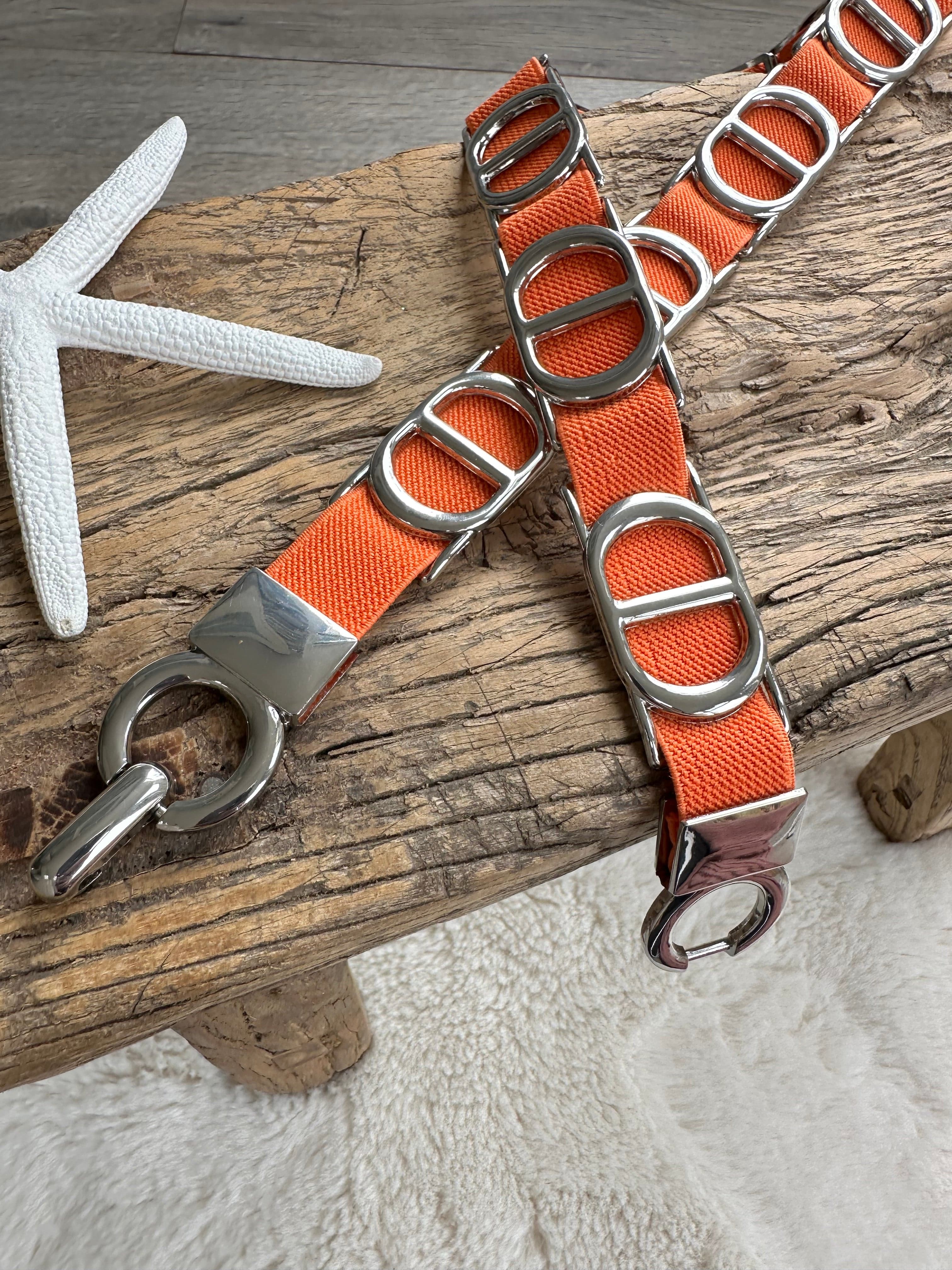 Slim Super Stretchy Double D Design Belt , Silver Hardware , 6 Colours available. - Image 3